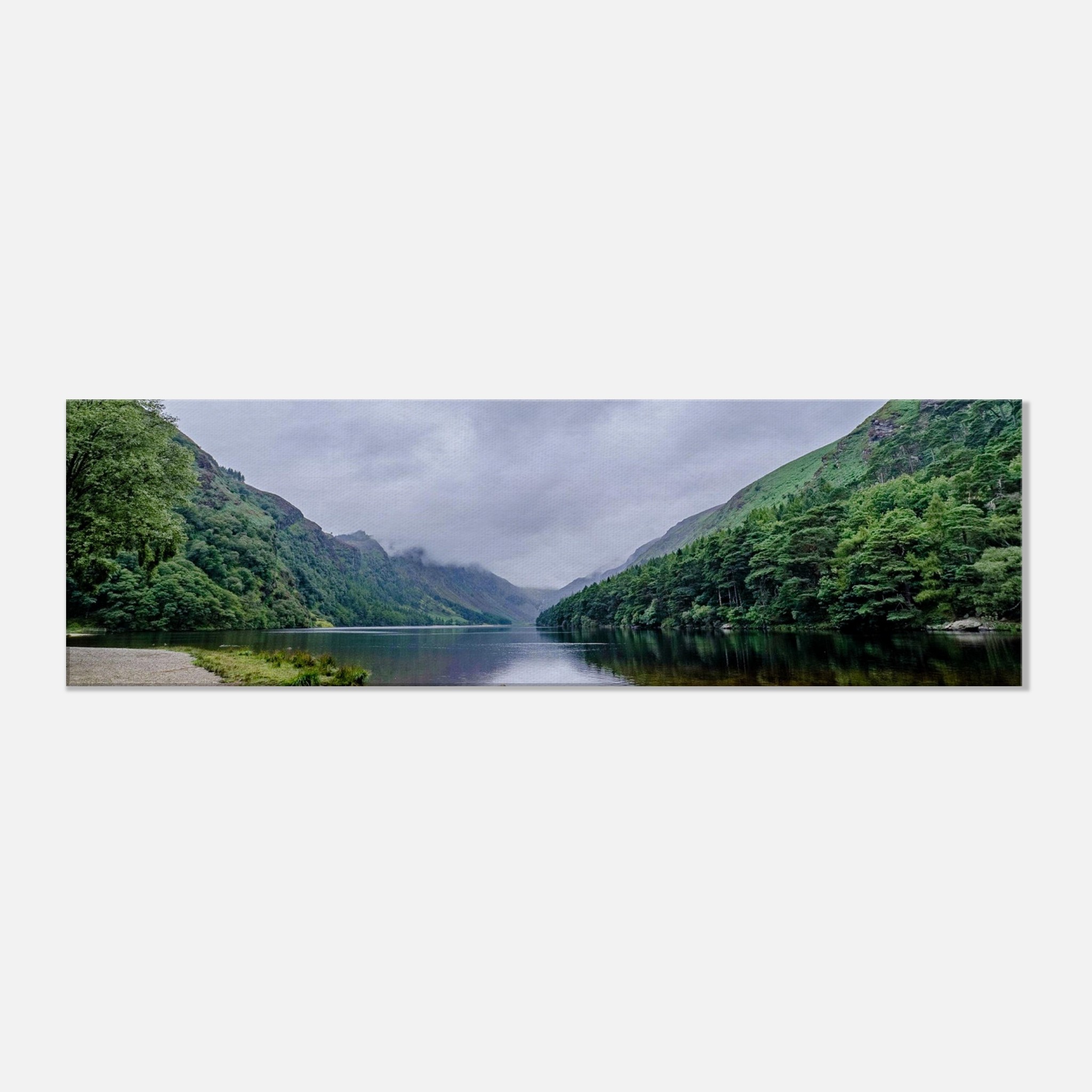 3810abaa-f8fc-466e-8db1-c78961cfd3a5