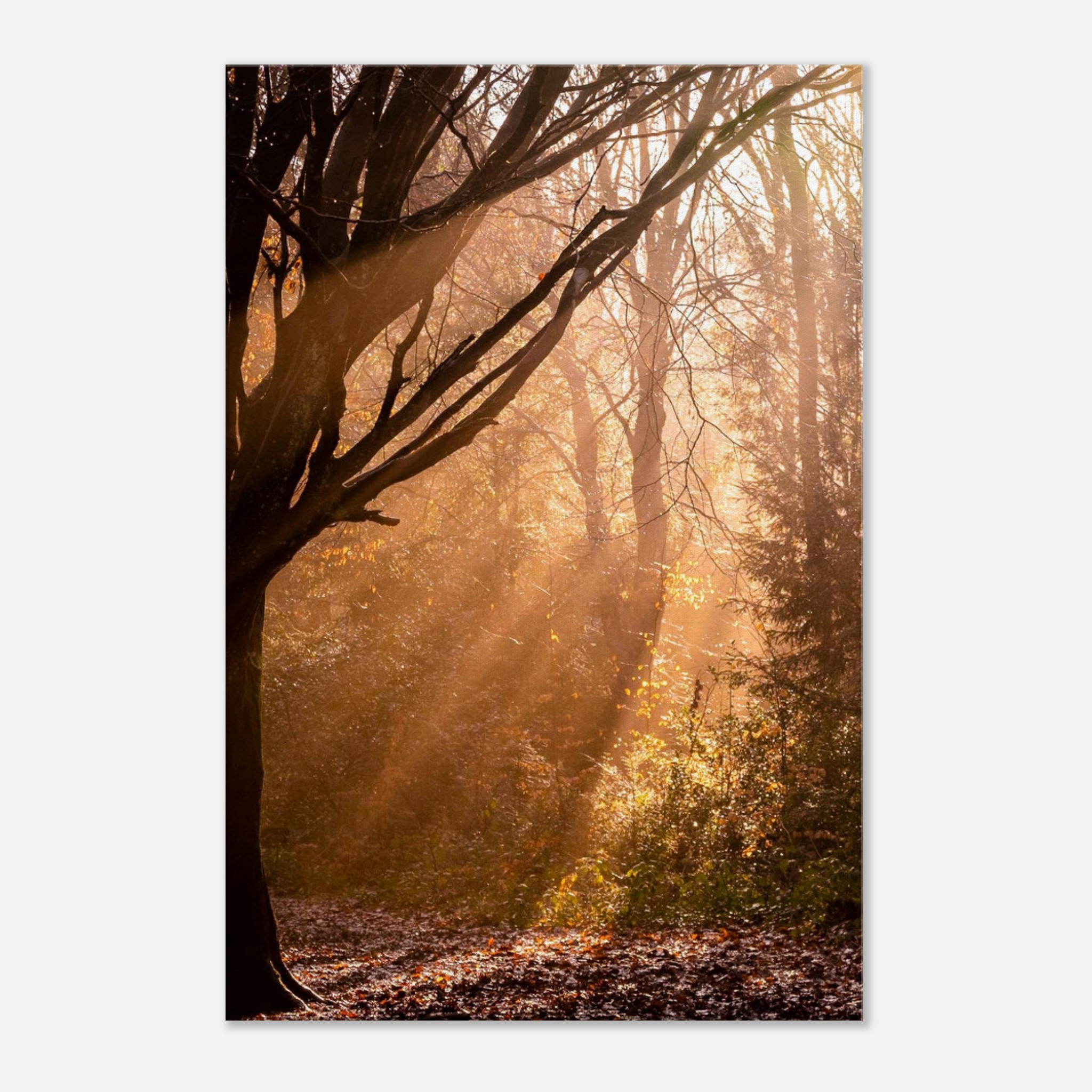 c18dc787-f4f4-4257-957c-82ea0f88baf6